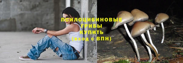 синтетический гашиш Бородино