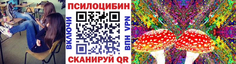OMG зеркало  где можно купить наркотик  Надым  Галлюциногенные грибы ЛСД 